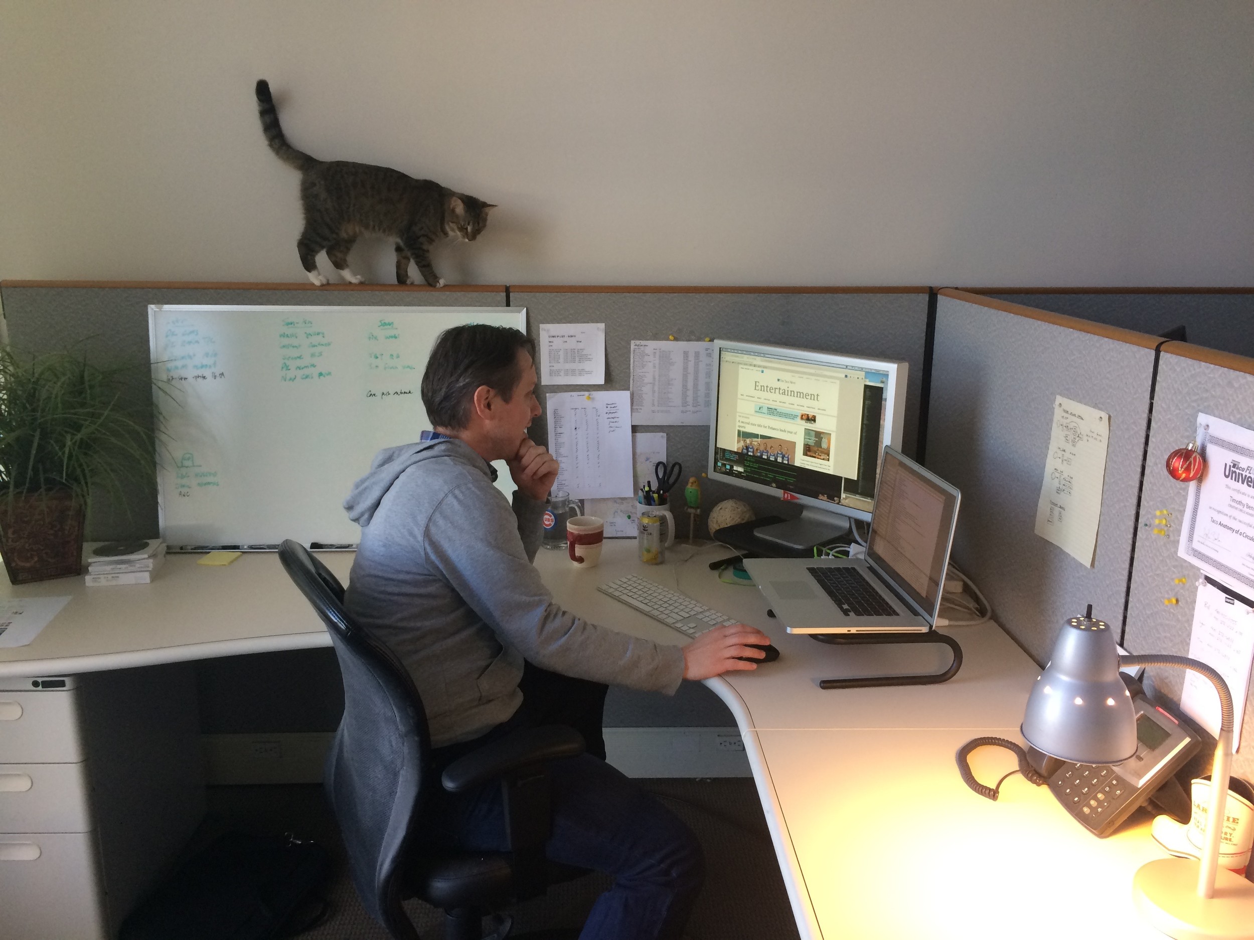 Tim Benson, our lead programmer, works on building out a new site while Charlotte strolls by above.