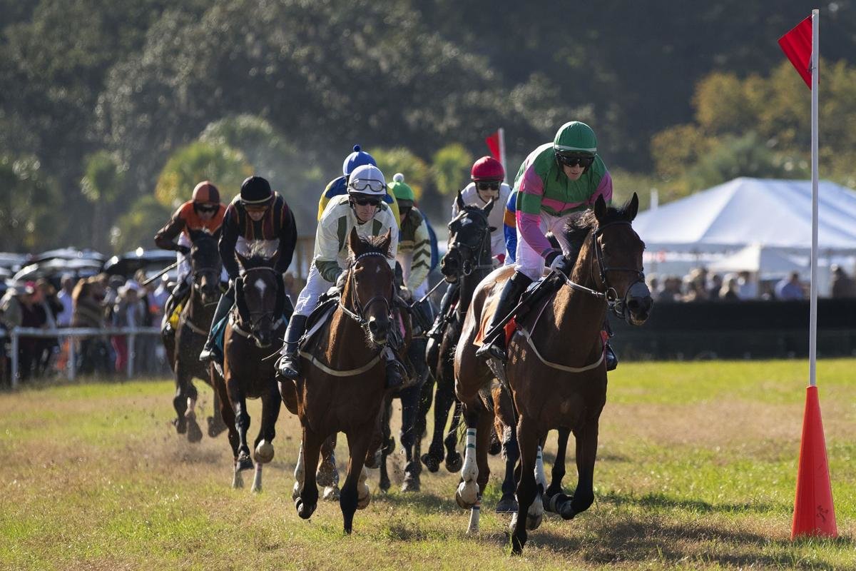 Jockeys and their horses race for the finish in the Steeplechase of Charleston at Stono Ferry on Sunday, 
Nov. 11, 2018.